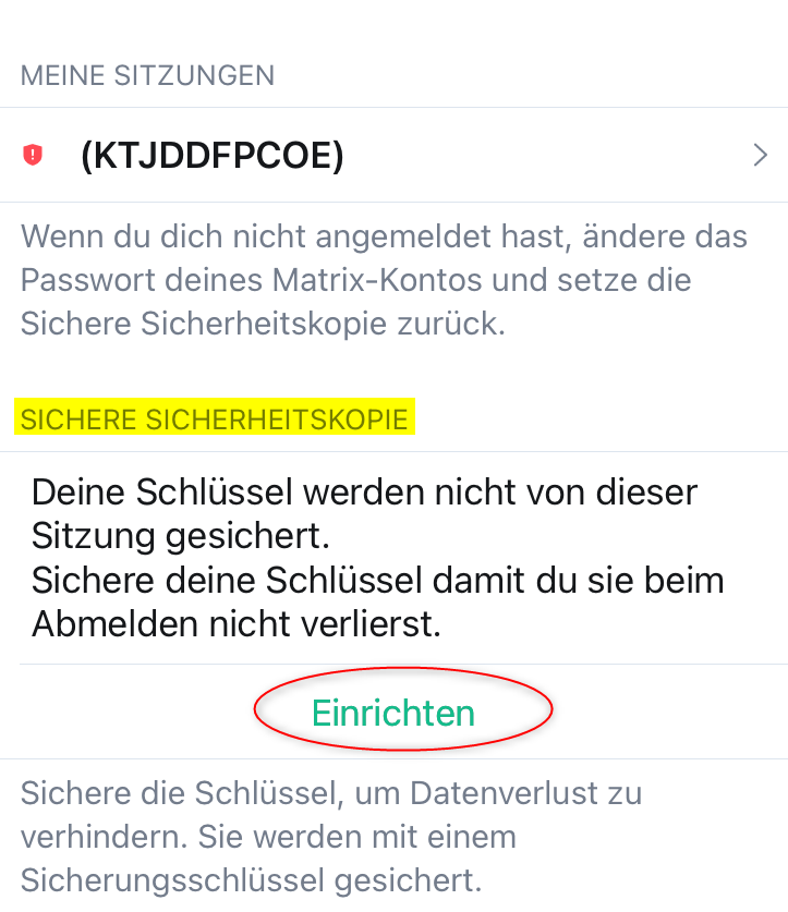 Screenshot: Hinweistext "Sichere Sicherheitskopie (gelb markiert). Deine Schlüssel werden nicht von dieser Sitzung gesichert. Sichere deine Schlüssel damit du sie beim Abmelden nicht verlierst." Einrichten-Button hervorgehoben.